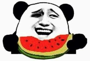 吃瓜群众的好名字是什么,揭秘“吃瓜群众”背后的趣味人生