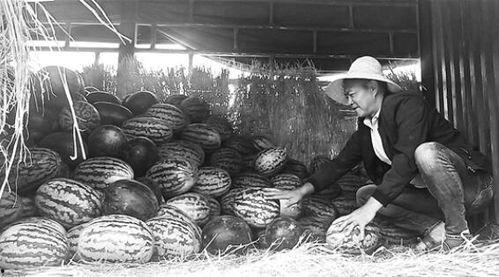 鹰潭吃瓜群众事件视频最新,网络热议背后的真相揭晓