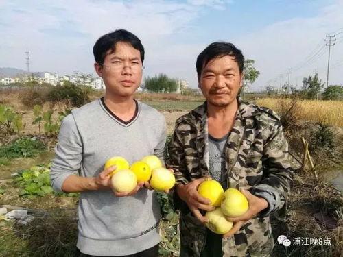 吃瓜群众襄垣,揭秘当地热点事件背后的真相