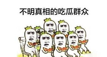 奶爸变成吃瓜群众,变身吃瓜群众，揭秘育儿圈幕后故事