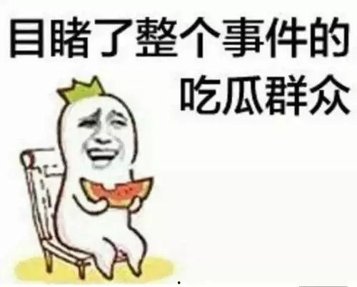 吃瓜群众听何老师的经历,吃瓜群众眼中的娱乐圈风云
