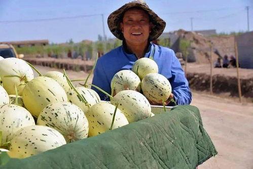 只想当吃瓜群众的我小说,吃瓜群众的逆袭之路