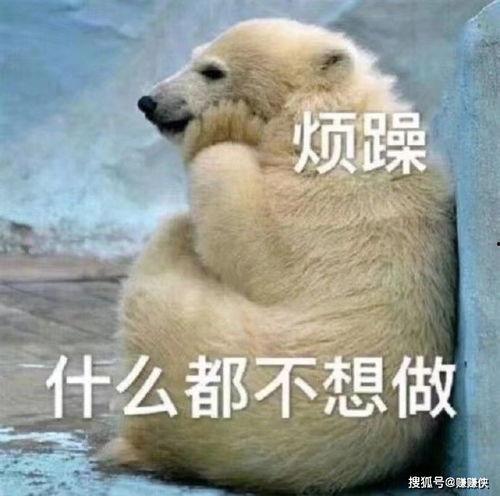 笑翻吃瓜群众图片,笑翻众人！吃瓜群众捕捉到史上最搞笑瞬间