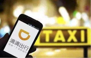 美团吃瓜群众图片真实,一场视觉盛宴背后的真实故事