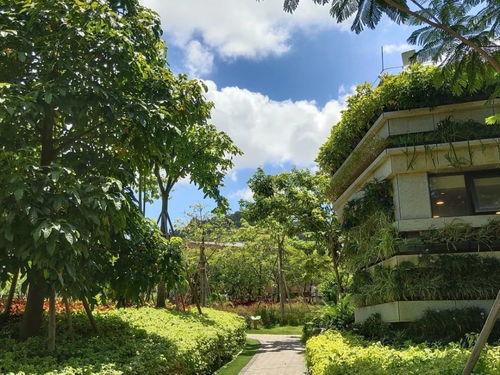 吃瓜群众东山公园,吃瓜群众眼中的休闲乐园