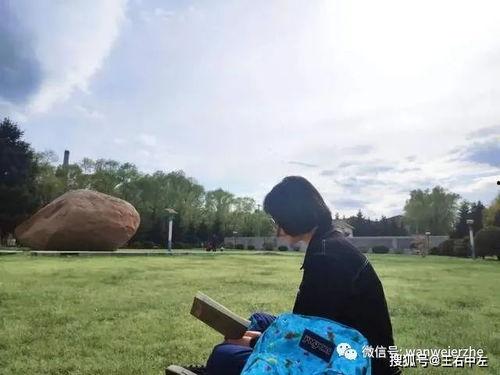 王卧龙吃瓜群众岱岱,吃瓜群众的趣味生活