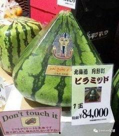 世界上最萌的吃瓜群众,揭秘世界上最萌吃瓜群众的魅力