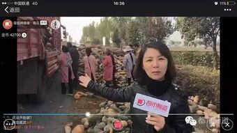 方姐吃瓜群众是真的吗,揭秘网络热议背后的真相