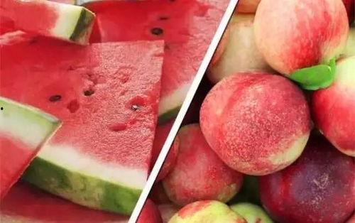 吃瓜群众小番茄微博,揭秘娱乐圈幕后故事，吃瓜群众视角下的娱乐风云