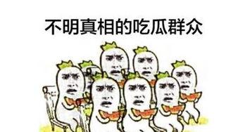 吃瓜群众岑岑,揭秘娱乐圈幕后故事