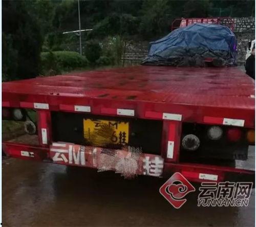 吃瓜群众看热闹火车,热闹火车背后的故事