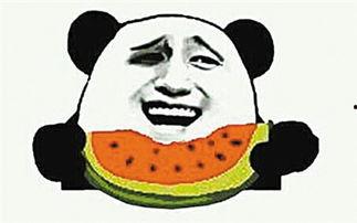 吃瓜群众的小女孩散文,瓜田里的童年梦