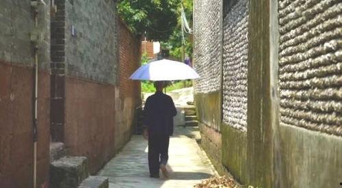 金寨吃瓜群众事件,一场网络舆论的风波与反思