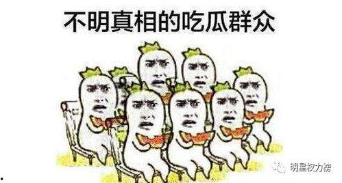 饭圈吃瓜群众怎么说的,揭秘吃瓜群众的八卦心声